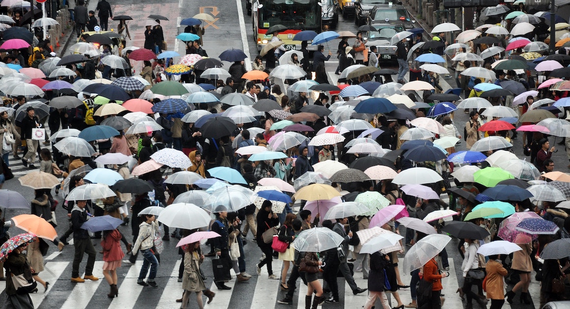 crowd of people walking with umbrellas