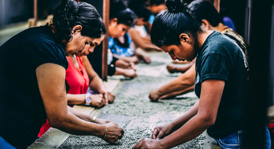 worker assemble widgets in a factory