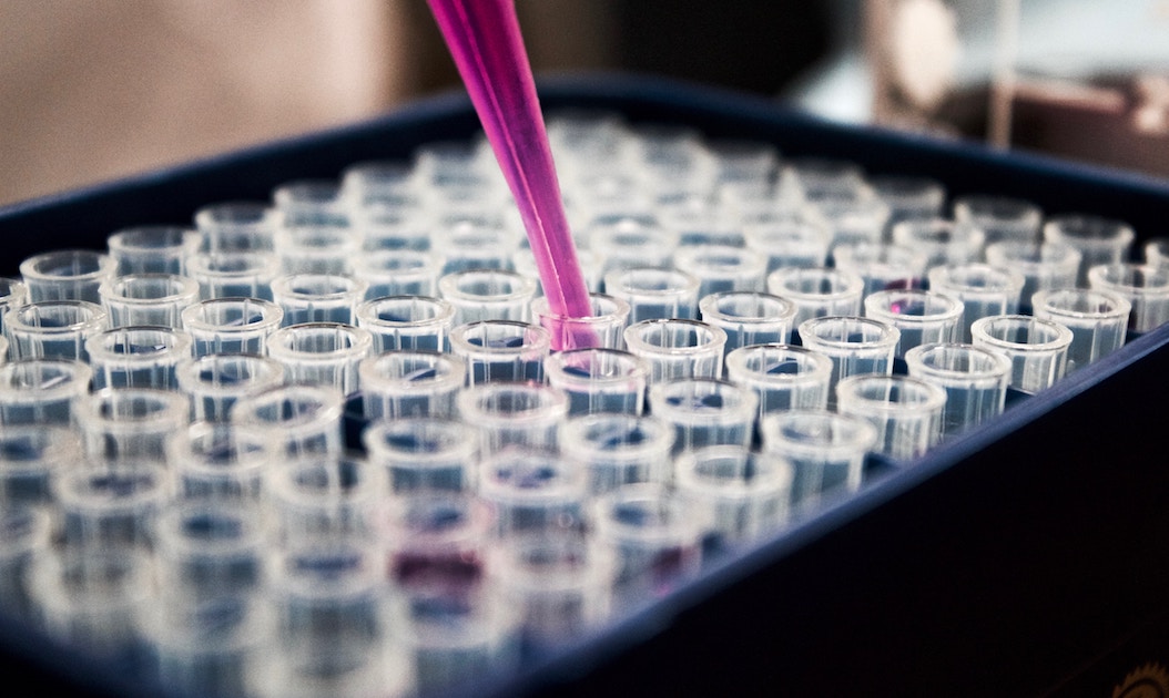 a dropper over a row of test tubes