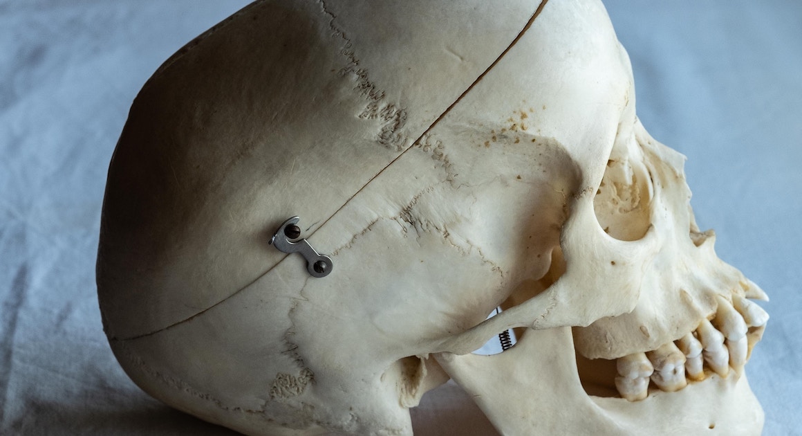 a human skull on a table